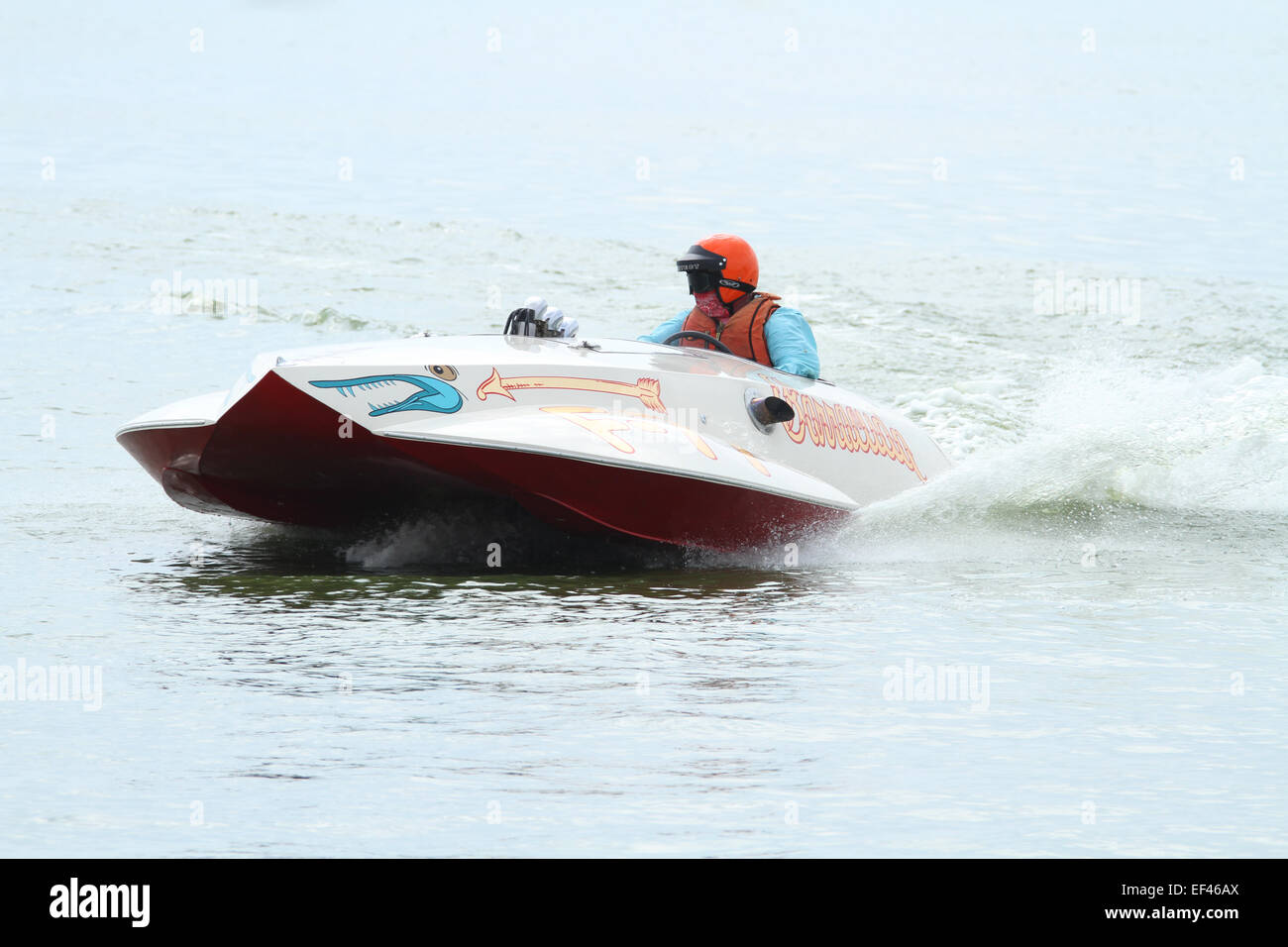 Boat F77, Barracuda. Vintage Hydroplane. Boat Racing. American Power