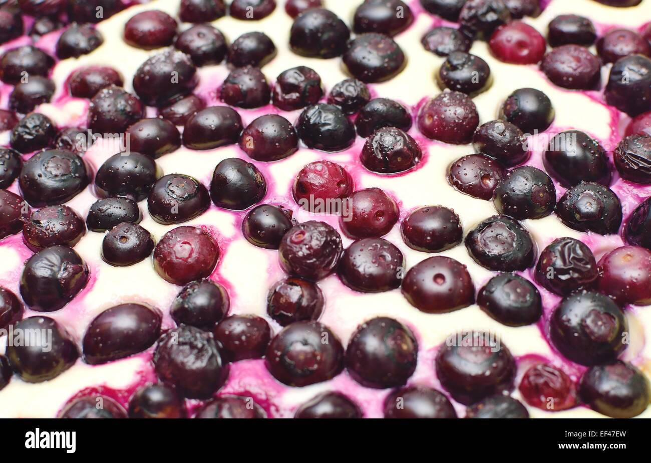 Surface of the blueberry cheese pie. Abstract background. Stock Photo