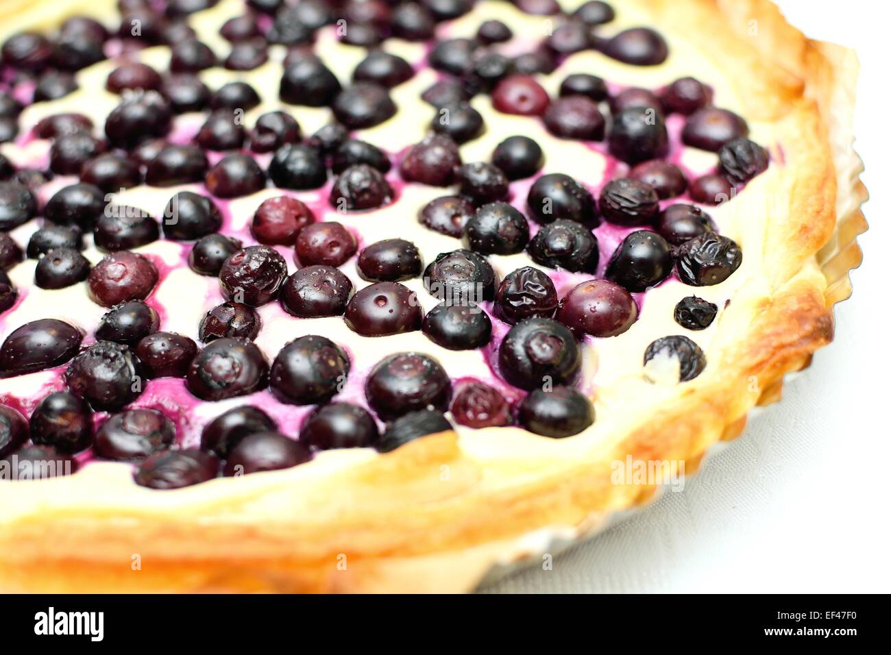 Closeup shot of the blueberry cheese pie in a form. Stock Photo