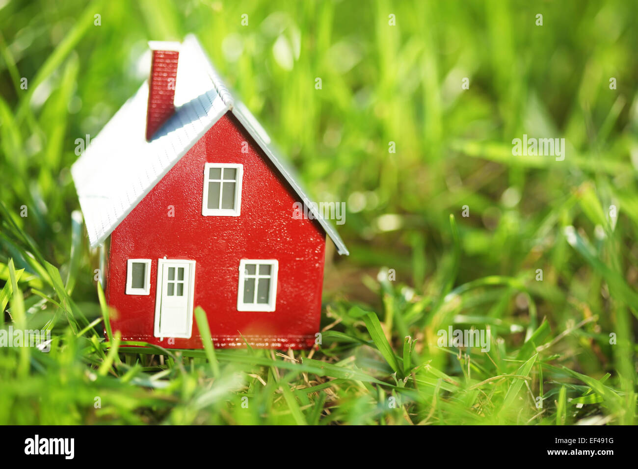 Tiny red house in green grass Stock Photo
