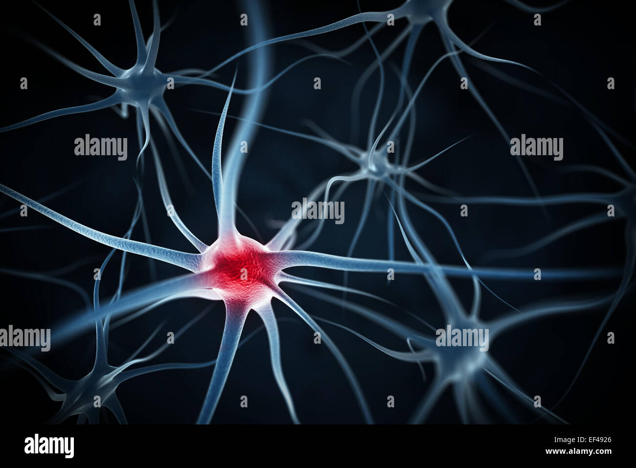 Red neuron hi-res stock photography and images - Alamy