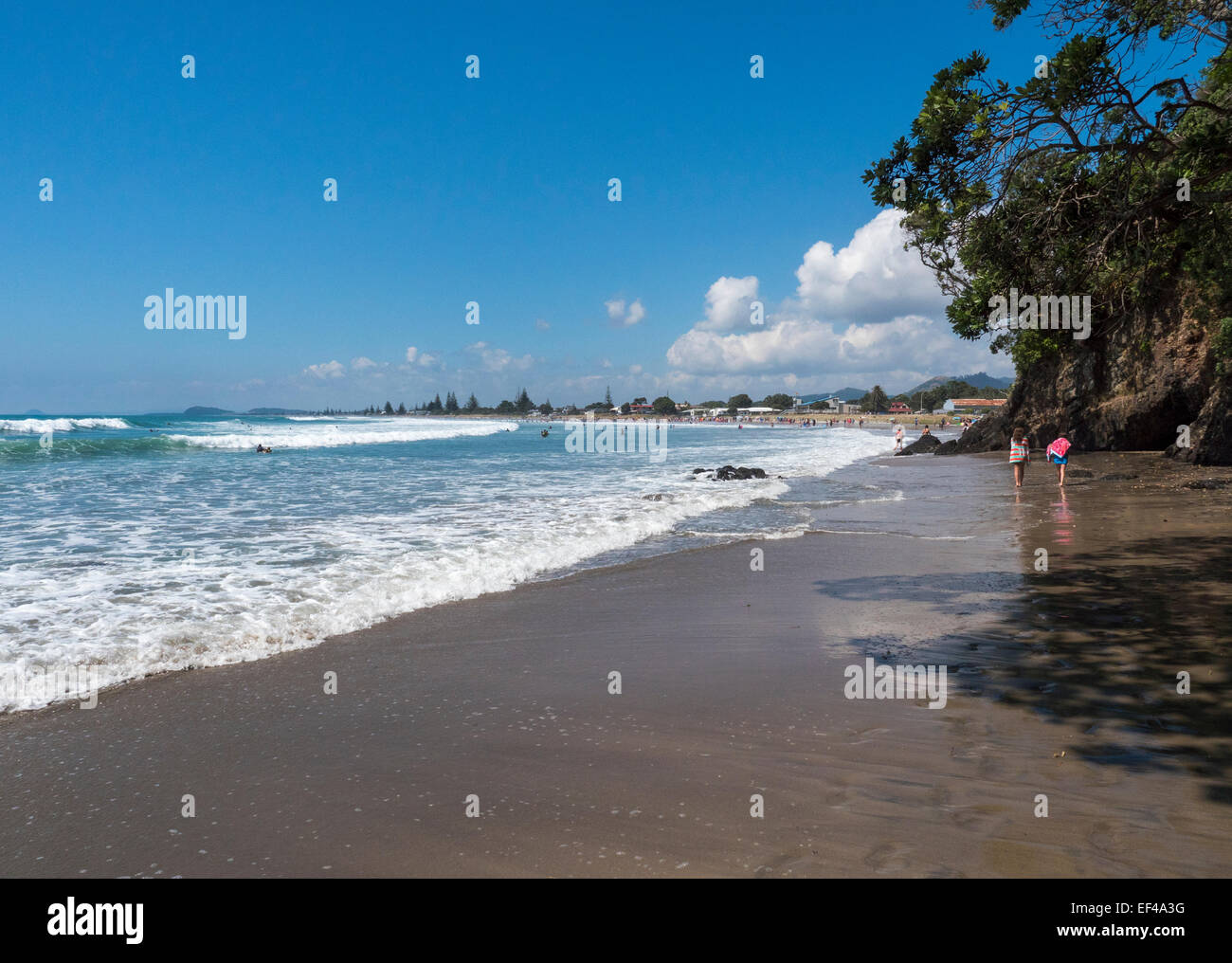 Katikati new zealand hires stock photography and images Alamy