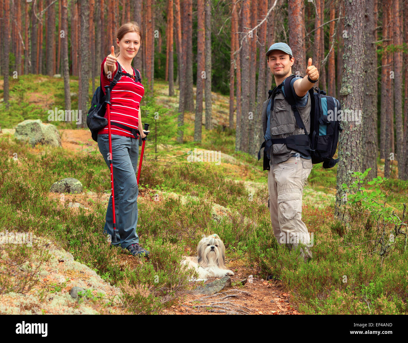 Young tourists couple with dog showing thumbs up on forest background. Stock Photo