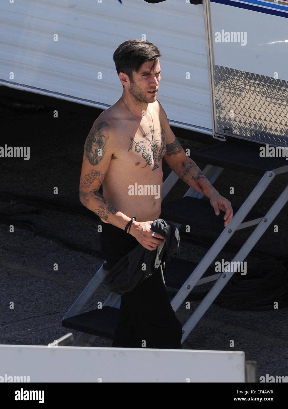 Does Wes Bentley Have Tattoos? 