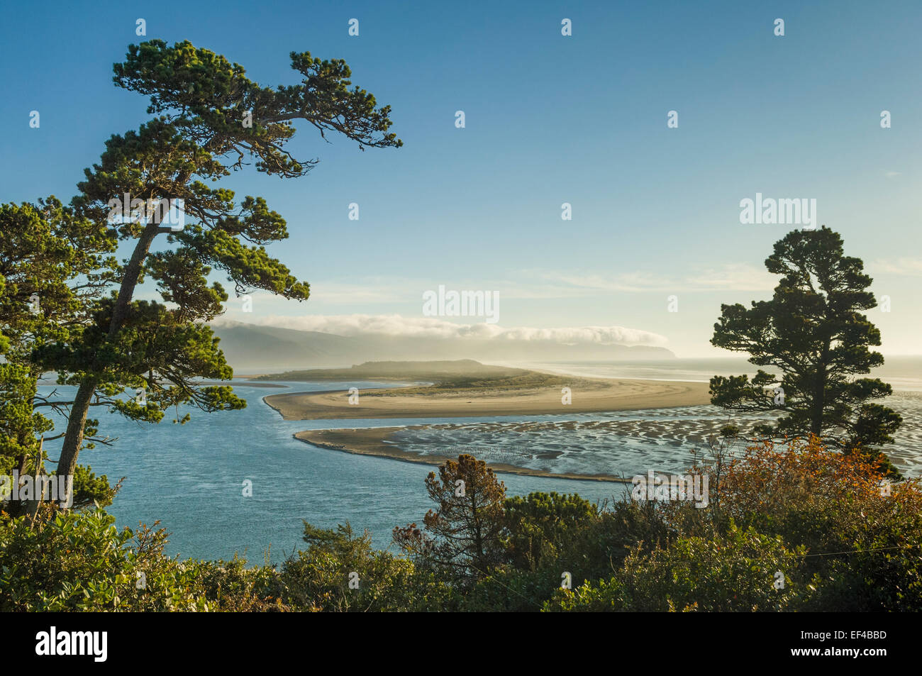 Netarts Bay and sand spit from the Three Capes Scenic Route on the northern Oregon coast. Stock Photo