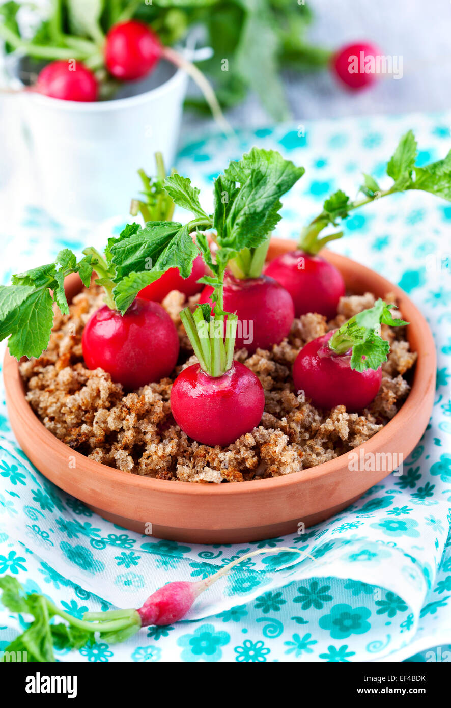 Appetizer with radish and cream cheese Stock Photo
