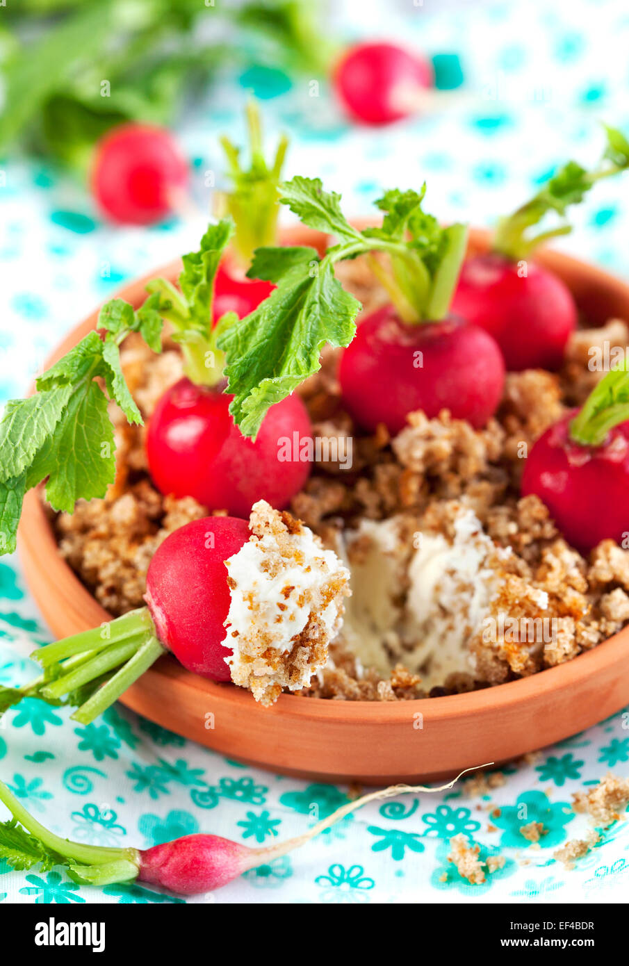 Appetizer with radish and cream cheese Stock Photo