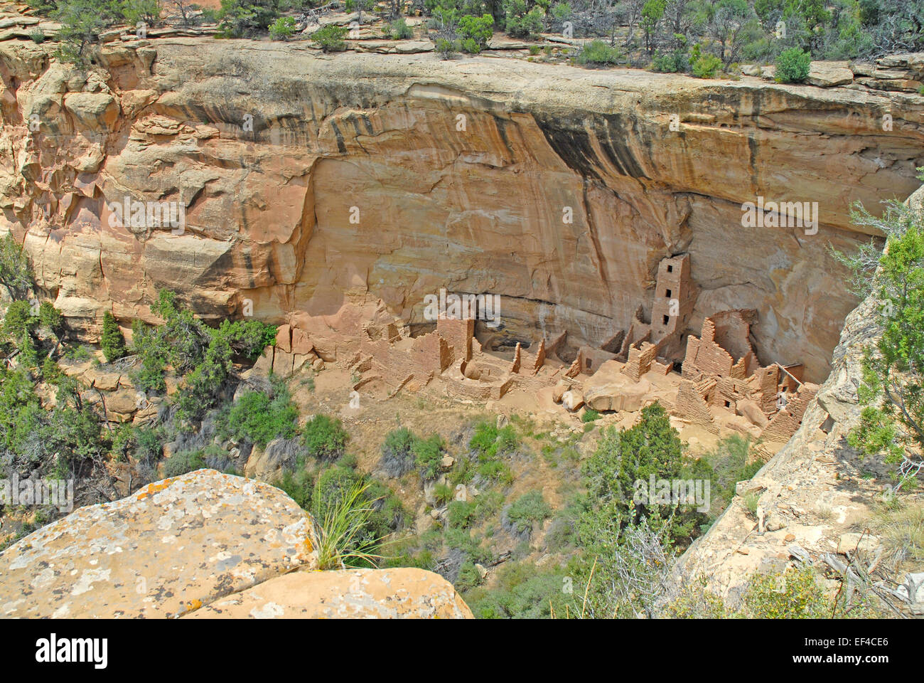 Cliff Dwellings at Mesa Verde national park, Colorado Stock Photo - Alamy