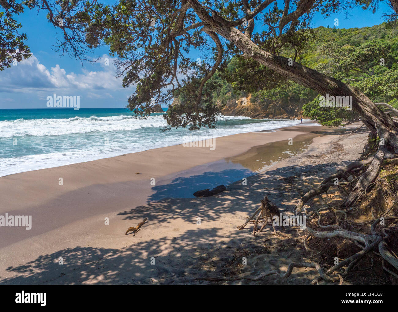 Orokawa bay hires stock photography and images Alamy