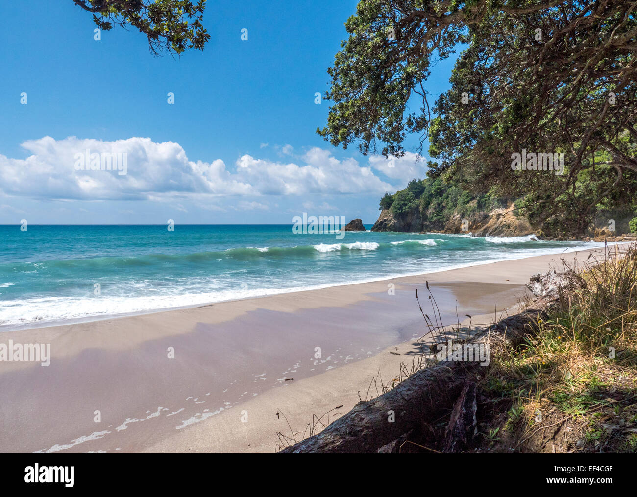 The beach at Orokawa Bay, Orkawa Scenic Reserve, near the town of Waihi Beach, Bay of Plenty, New Zealand Stock Photo