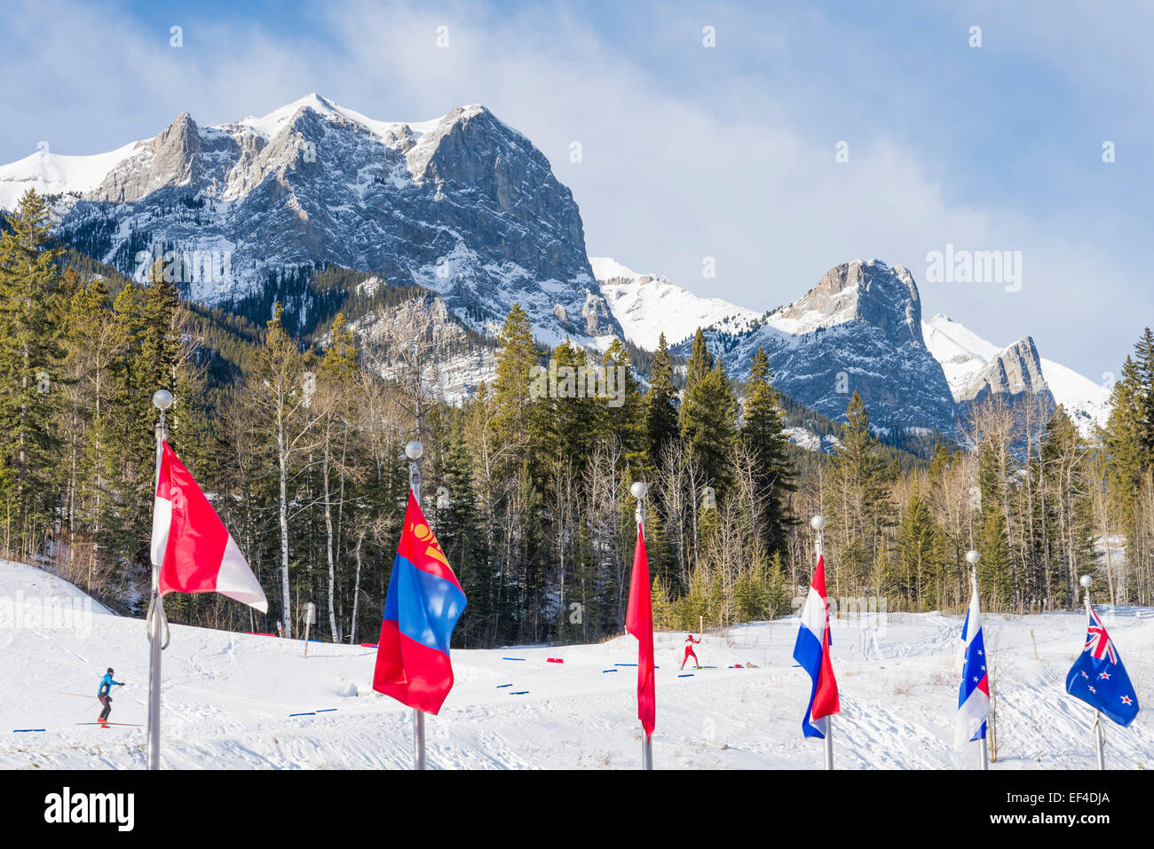 Cross country skiers at Canmore Nordic Centre Provincial Park, Canmore, Alberta, Canada Stock