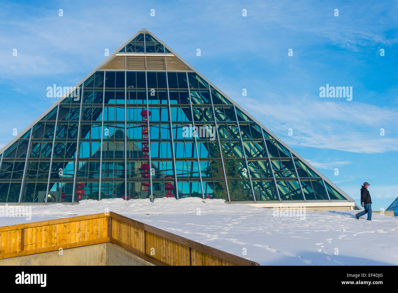Muttart Conservatory pyramids, a Botanical Garden in Edmonton, Alberta
