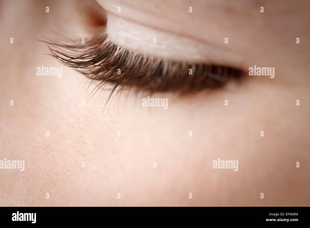 eyelash boy 8 years old close up Stock Photo