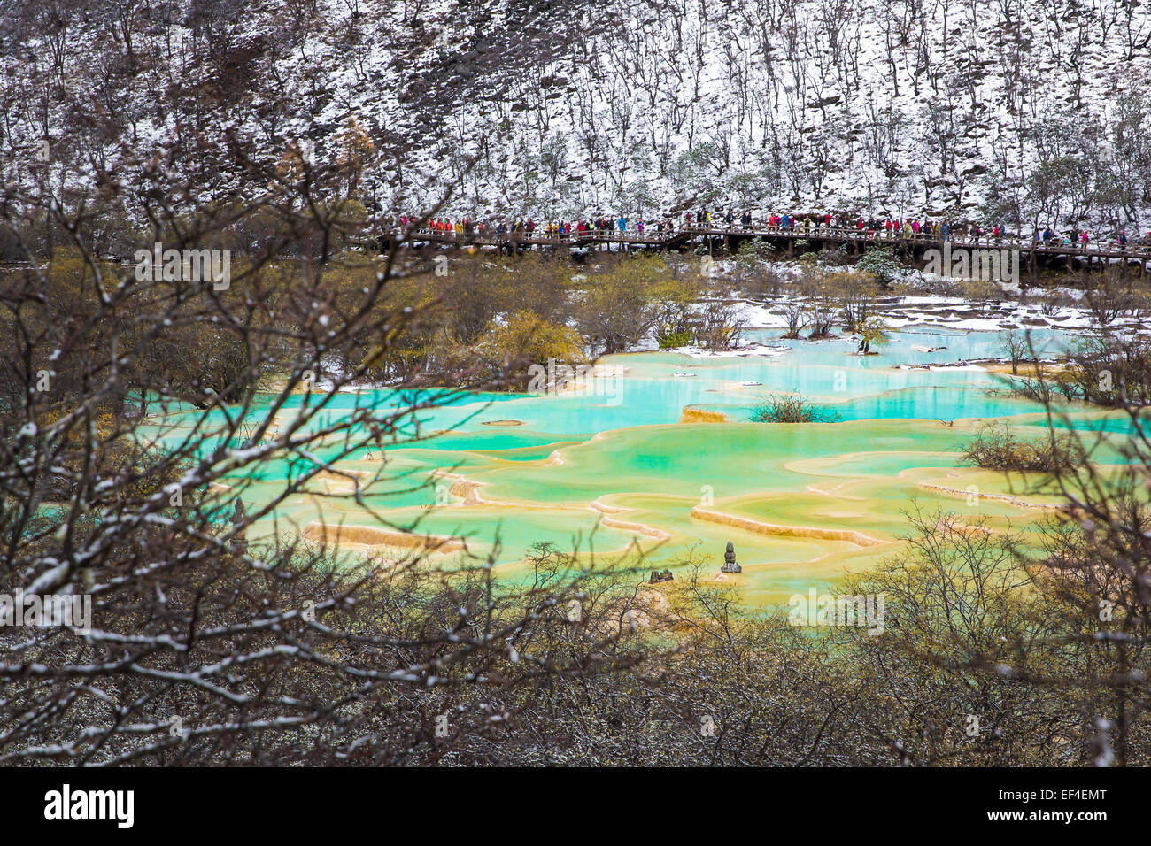 Huanglong Area with green pond in winter snow season, Sichuan, China Stock Photo