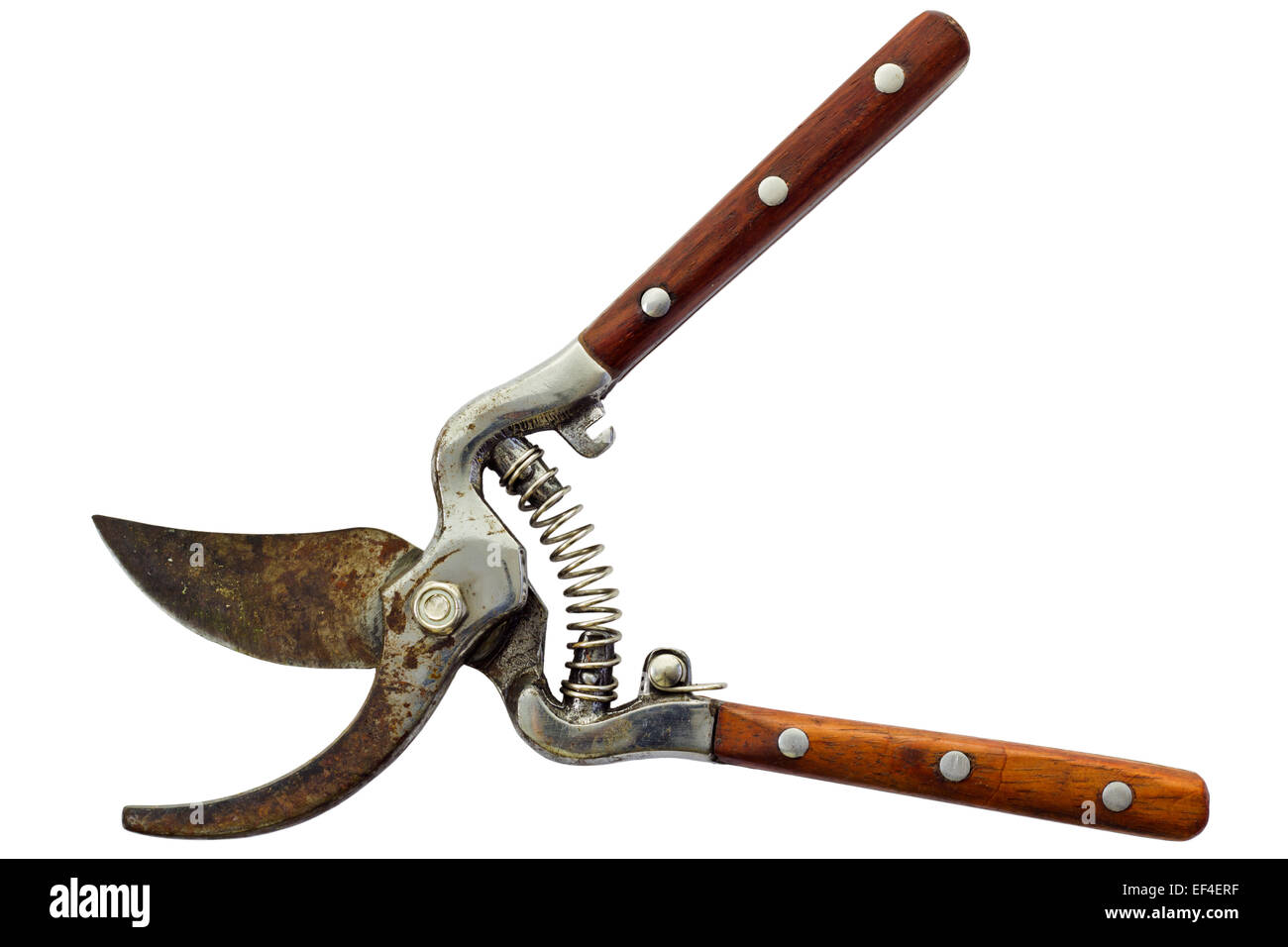 Rusty garden secateurs isolated on white background and clipping path Stock Photo