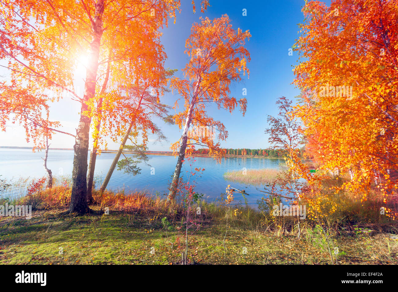 Autumnal Park. Autumn Trees and lake Stock Photo - Alamy