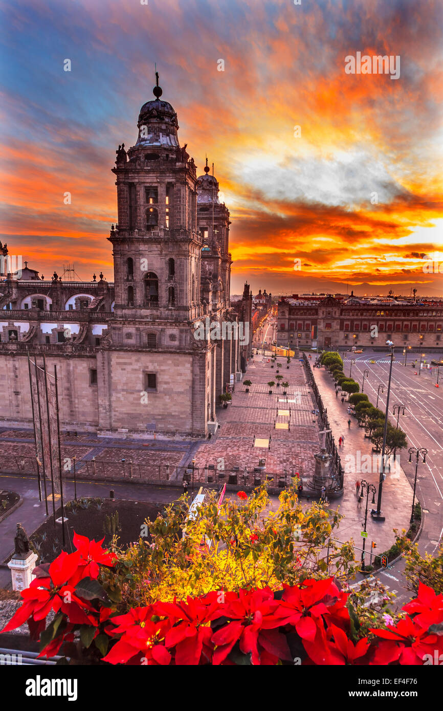Metropolitan Cathedral Christmas in Zocalo, Center of Mexico City Mexico Sunrise Stock Photo