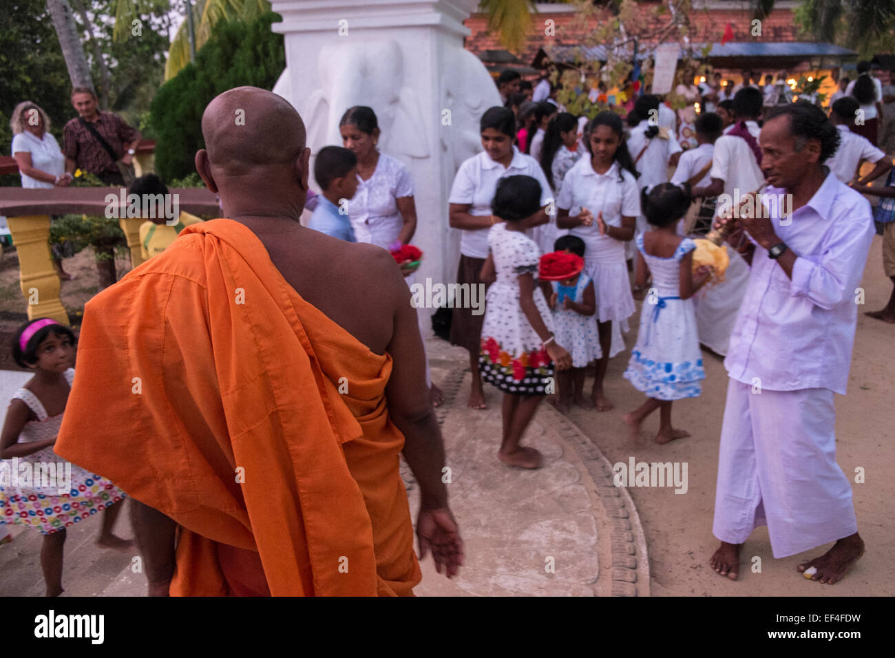 Flower offerings,bright colours,worship,pink, at Buddhist temple in