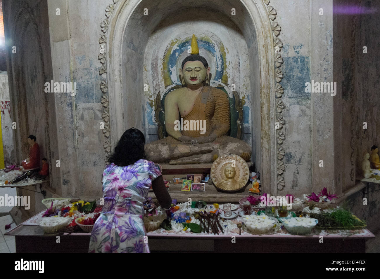 Flower offerings,bright colours,worship,pink, at Buddhist temple in