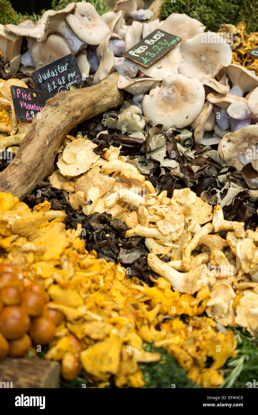 Wild mushrooms (Giroles, Pied Bleu, Judas Ear, Black Trumpet) on a stall at Borough Market, Southwark, London Stock Photo