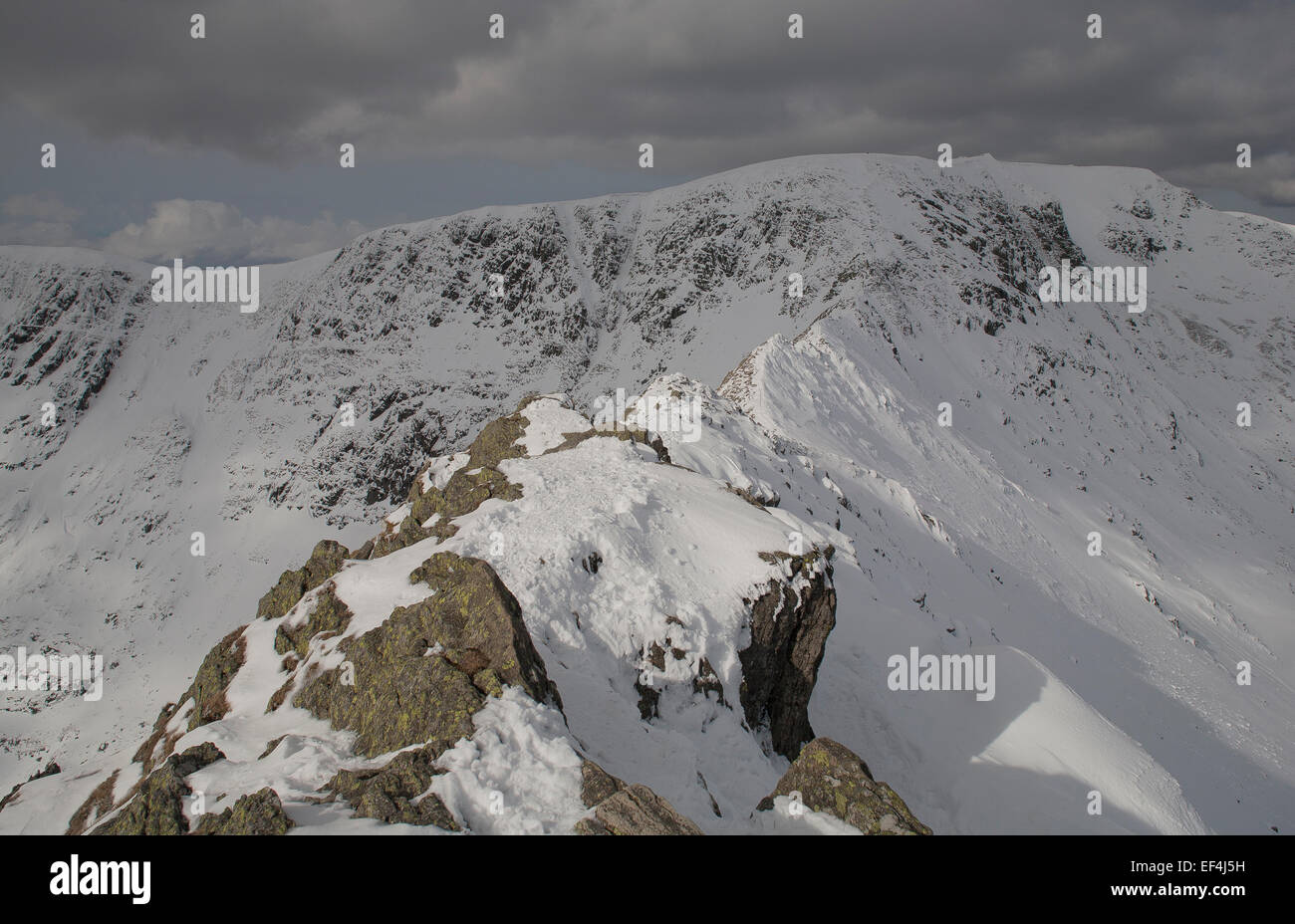The snowy ridge of Striding Edge leads up to the summit of Helvellyn, a notorious place for accidents and rescues in the English Stock Photo