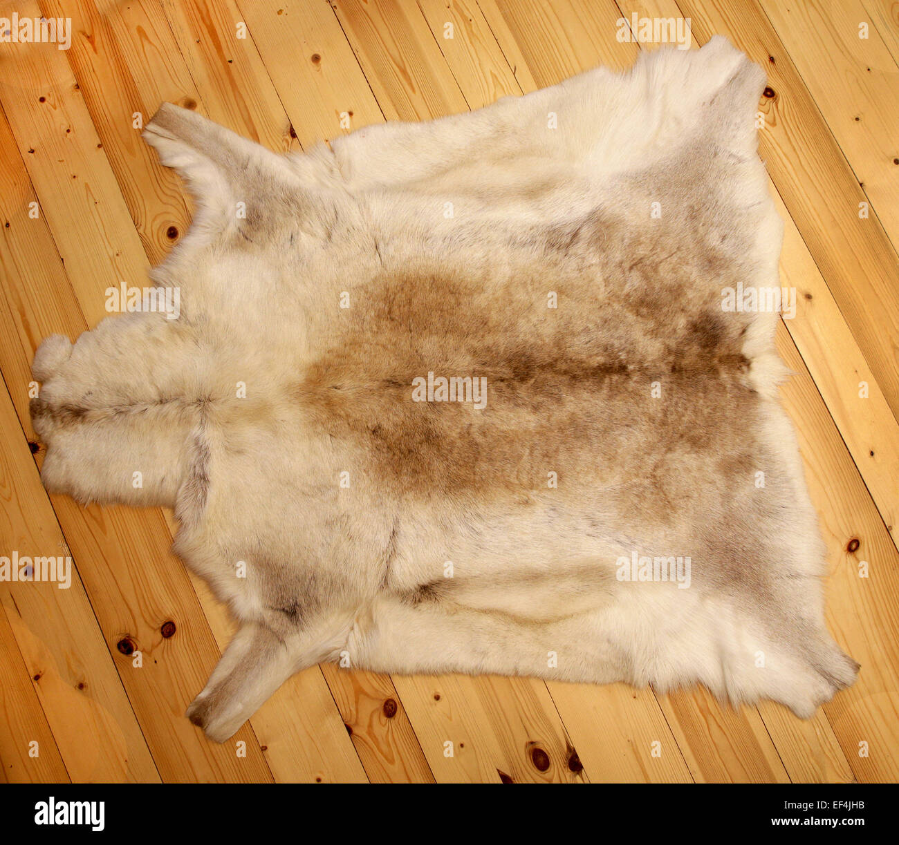 reindeer fur skin whole wood Stock Photo