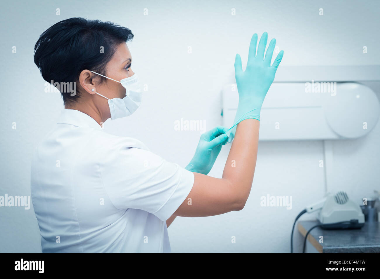 Female dentist wearing surgical glove Stock Photo Alamy