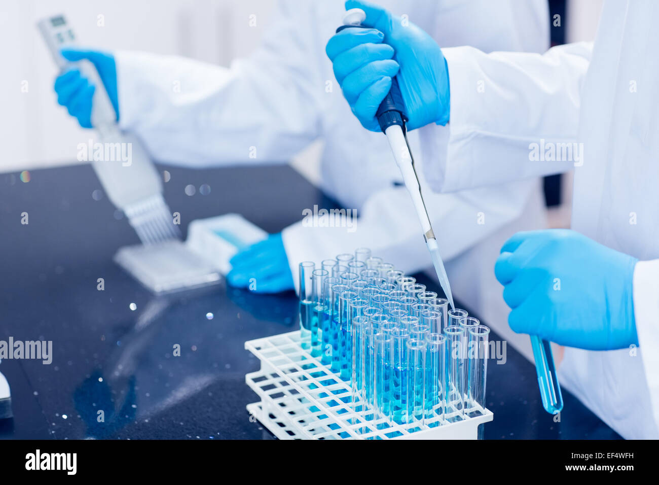 Science students using pipettes to fill test tubes Stock Photo