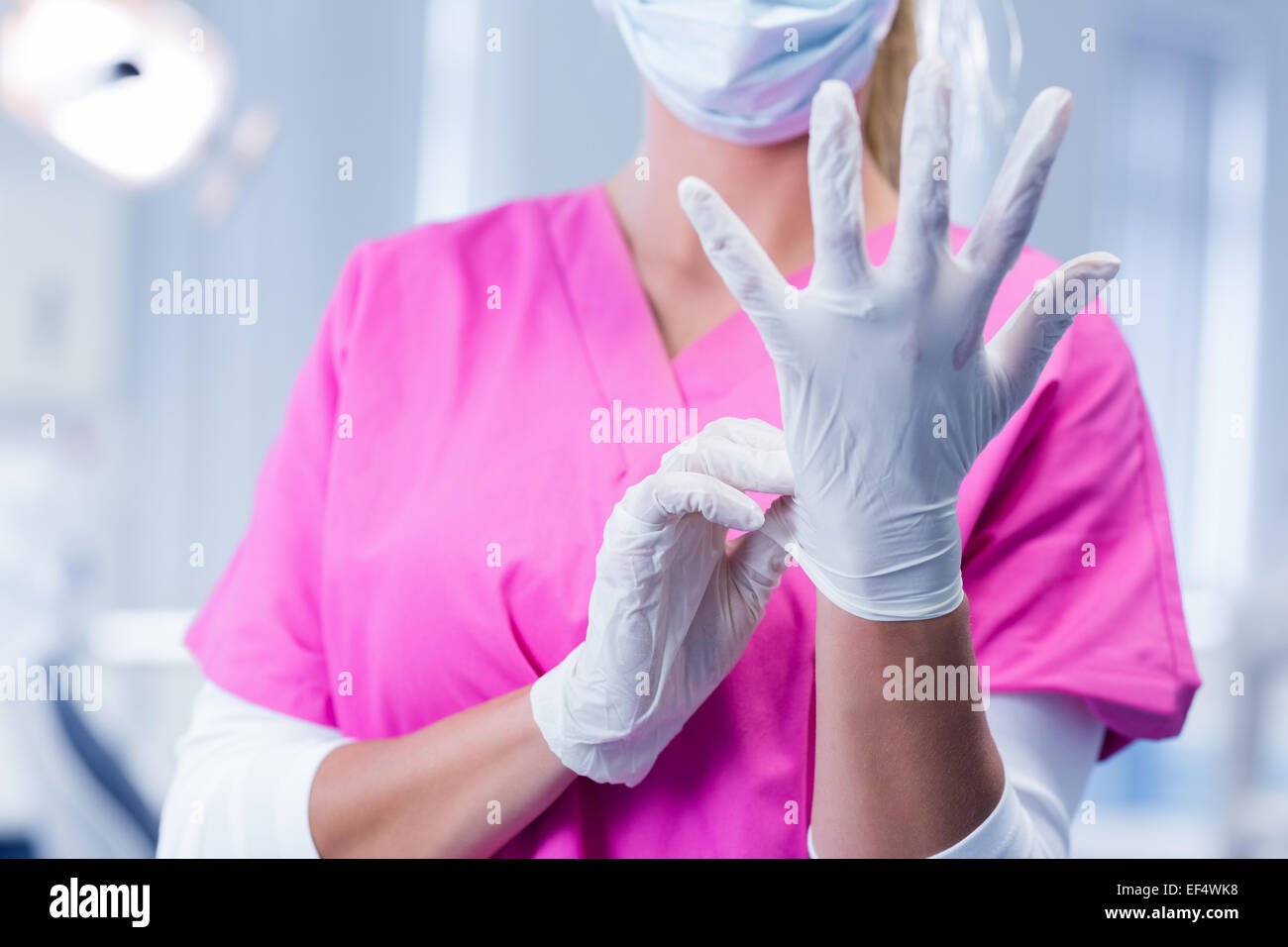 Dentist in pink scrubs putting on surgical gloves Stock Photo Alamy