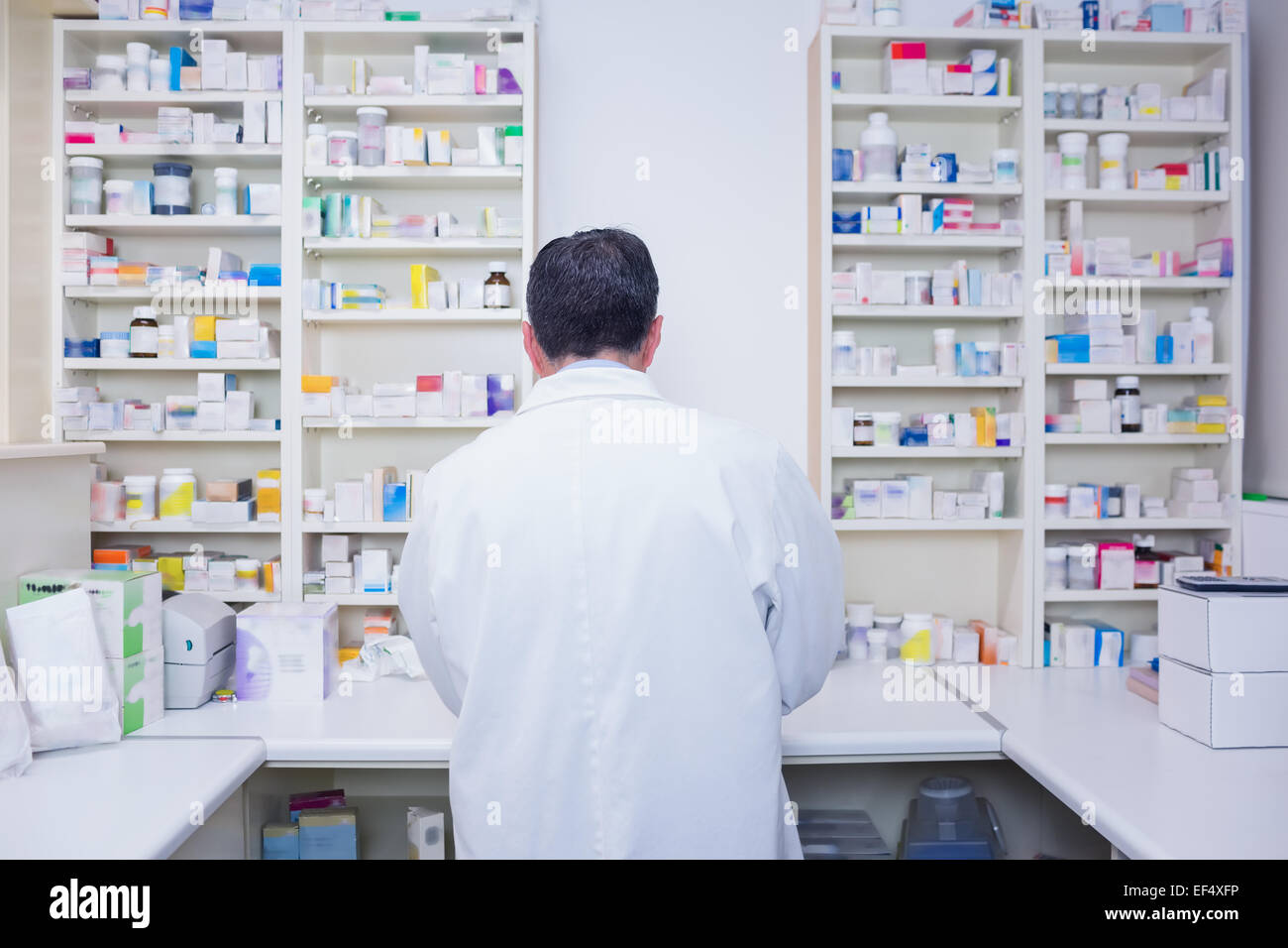 Rear view of a pharmacist working in lab coats Stock Photo