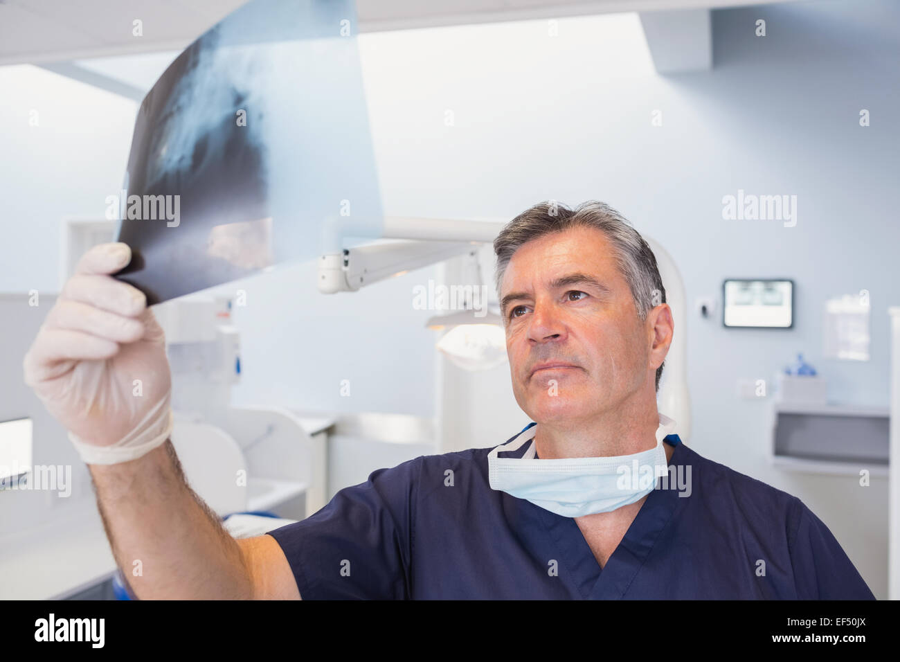 Serious dentist examining a xray Stock Photo Alamy