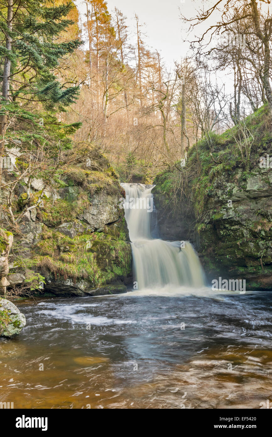 ABERLOUR STREAM OR BURN WITH DOUBLE WATERFALL RUNNING PAST THE DISTILLERY IN A JANUARY SPATE Stock Photo