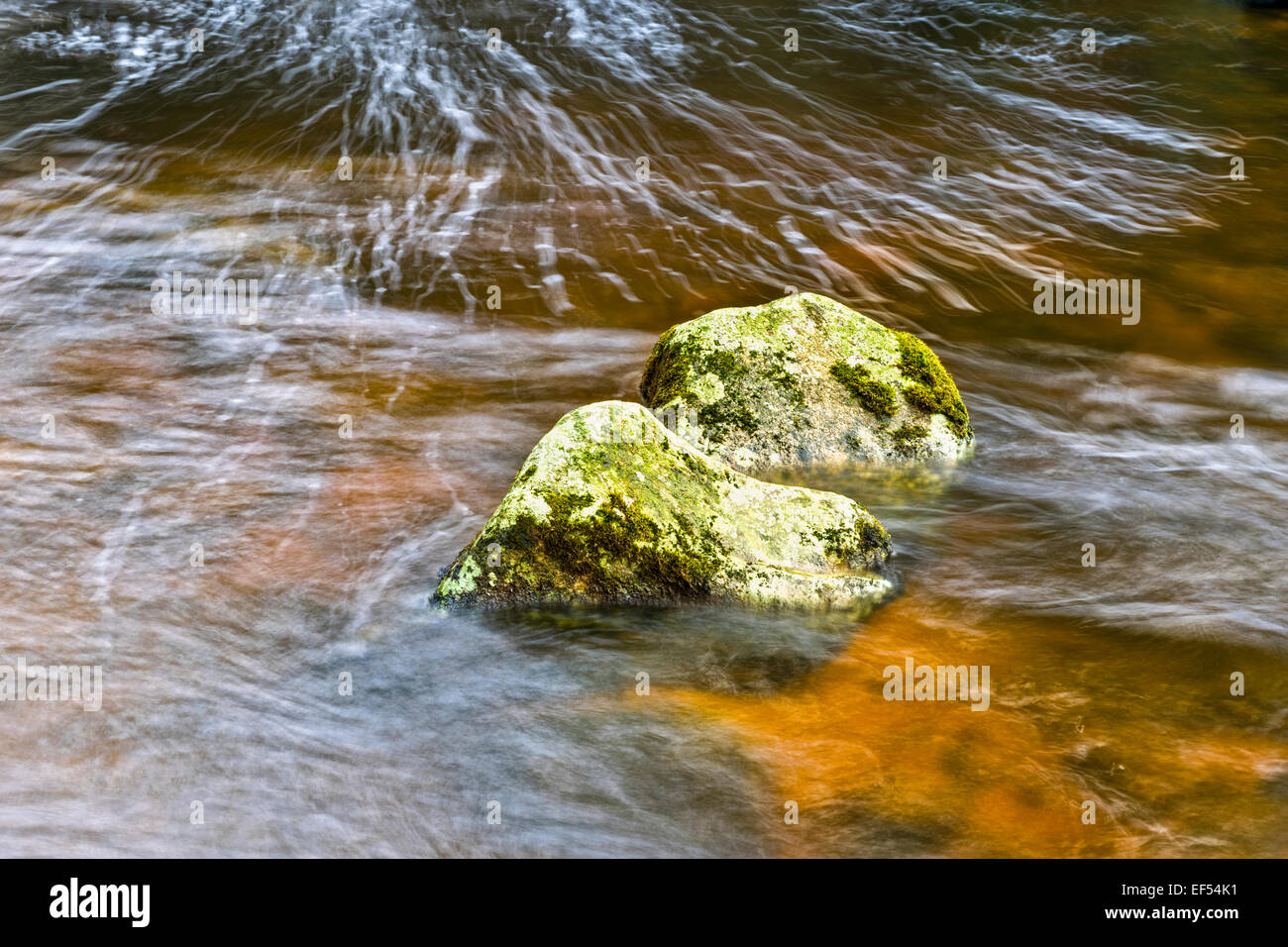Moss-Covered Rocks in River
