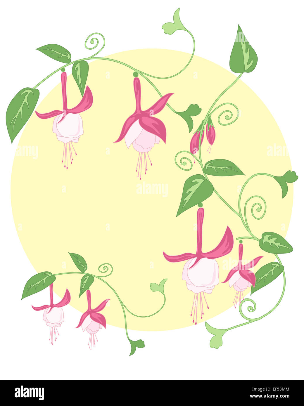 an illustration of a floral design with stylized green foliage and pretty fuchsia flowers on a yellow sun background Stock Photo