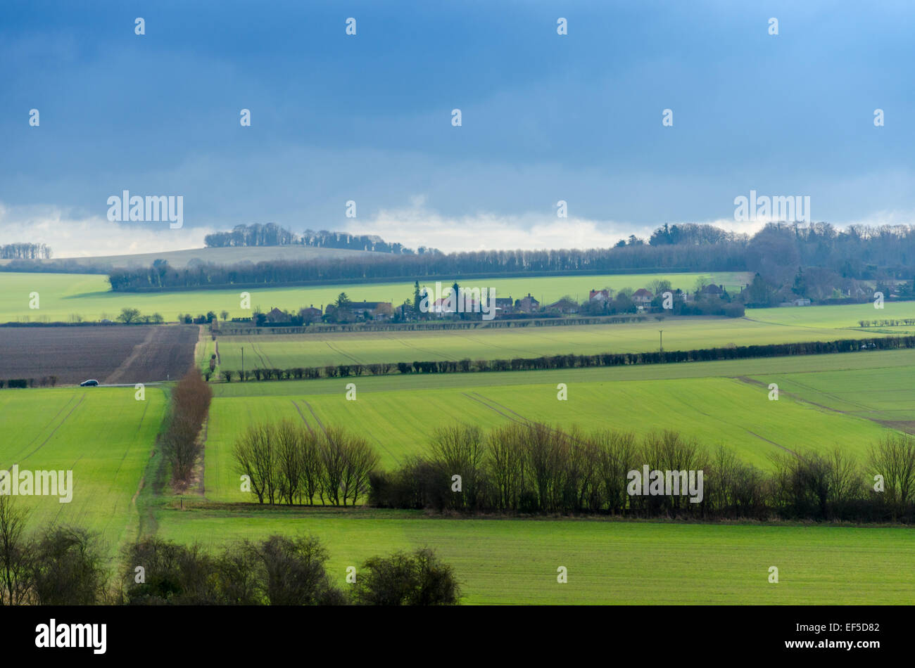 View of the countryside around the houses on Granham's Road, Shelford, Cambridge, UK Stock Photo