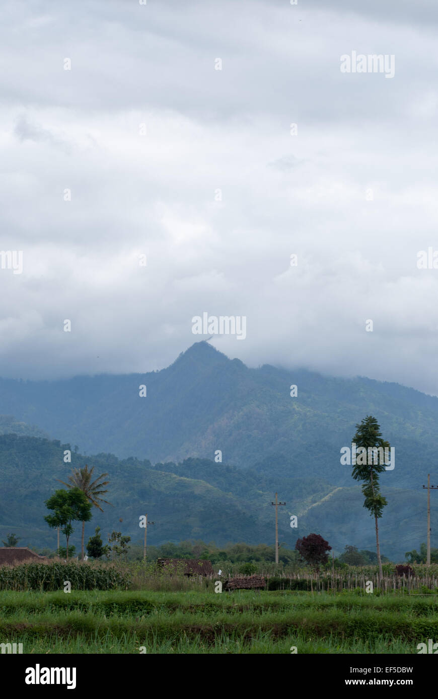 Great view from my Backyard Stock Photo