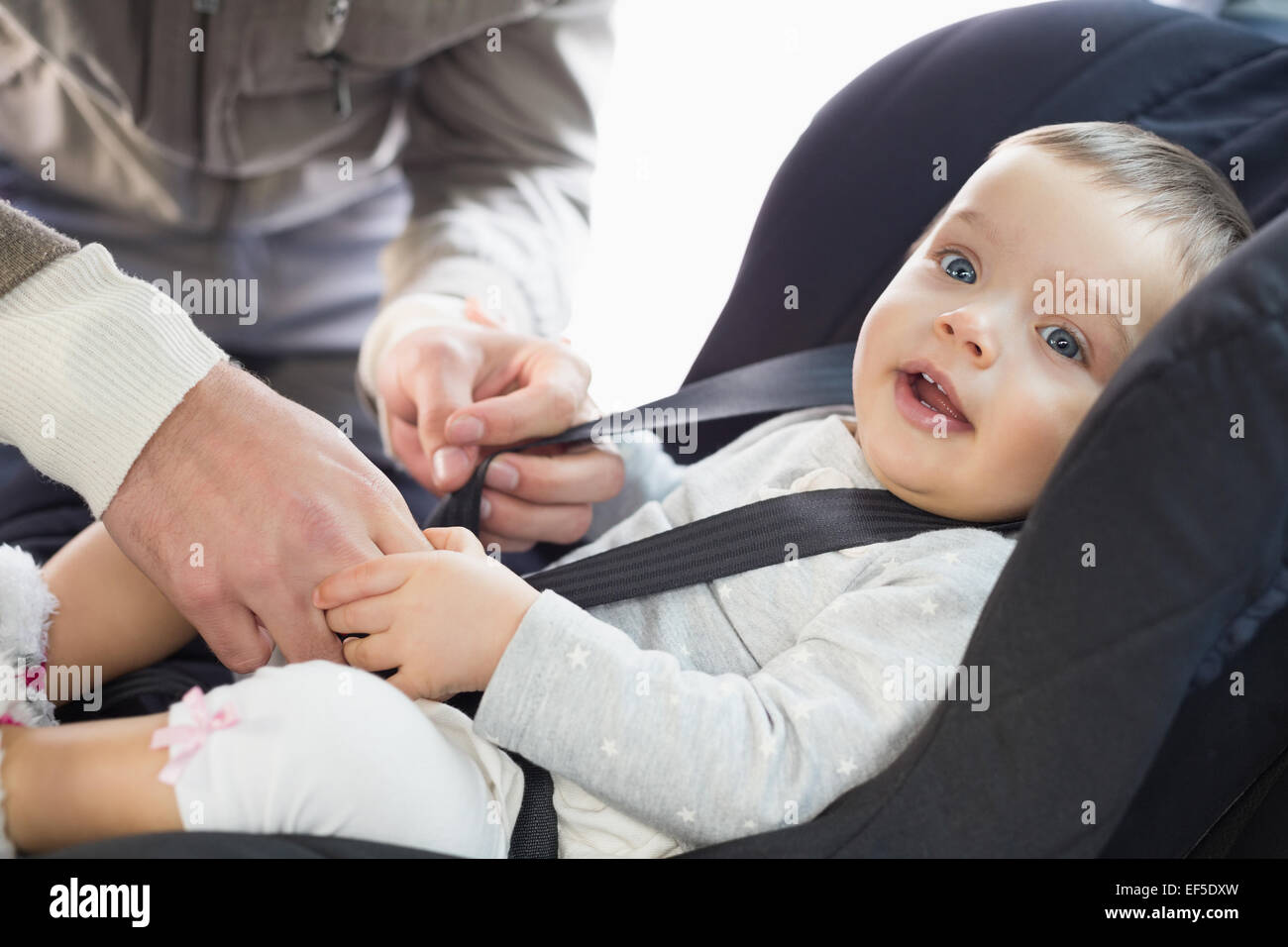 Parents securing baby in the car seat Stock Photo Alamy