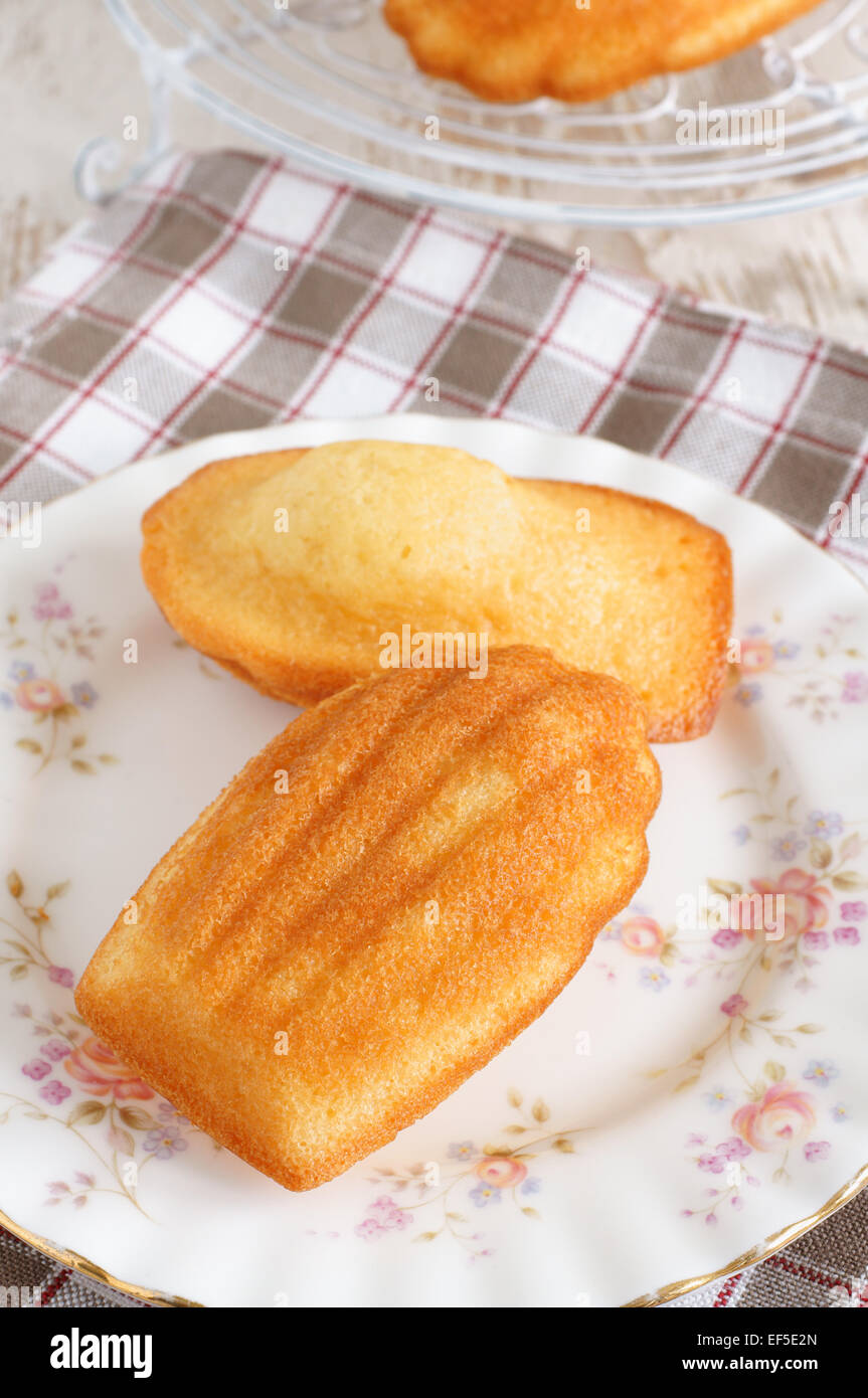 Madeleines or petite madeleine a traditional cake from the Lorraine region of France Stock Photo