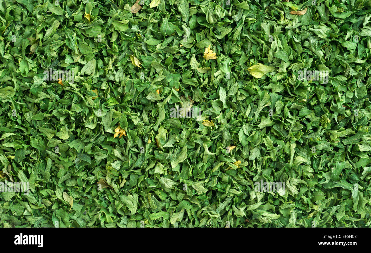A very close view of dried and chopped green parsley flakes Stock Photo Alamy