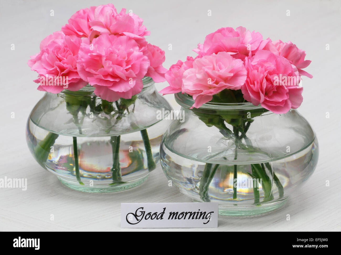 Good morning flower hi-res stock photography and images - Alamy