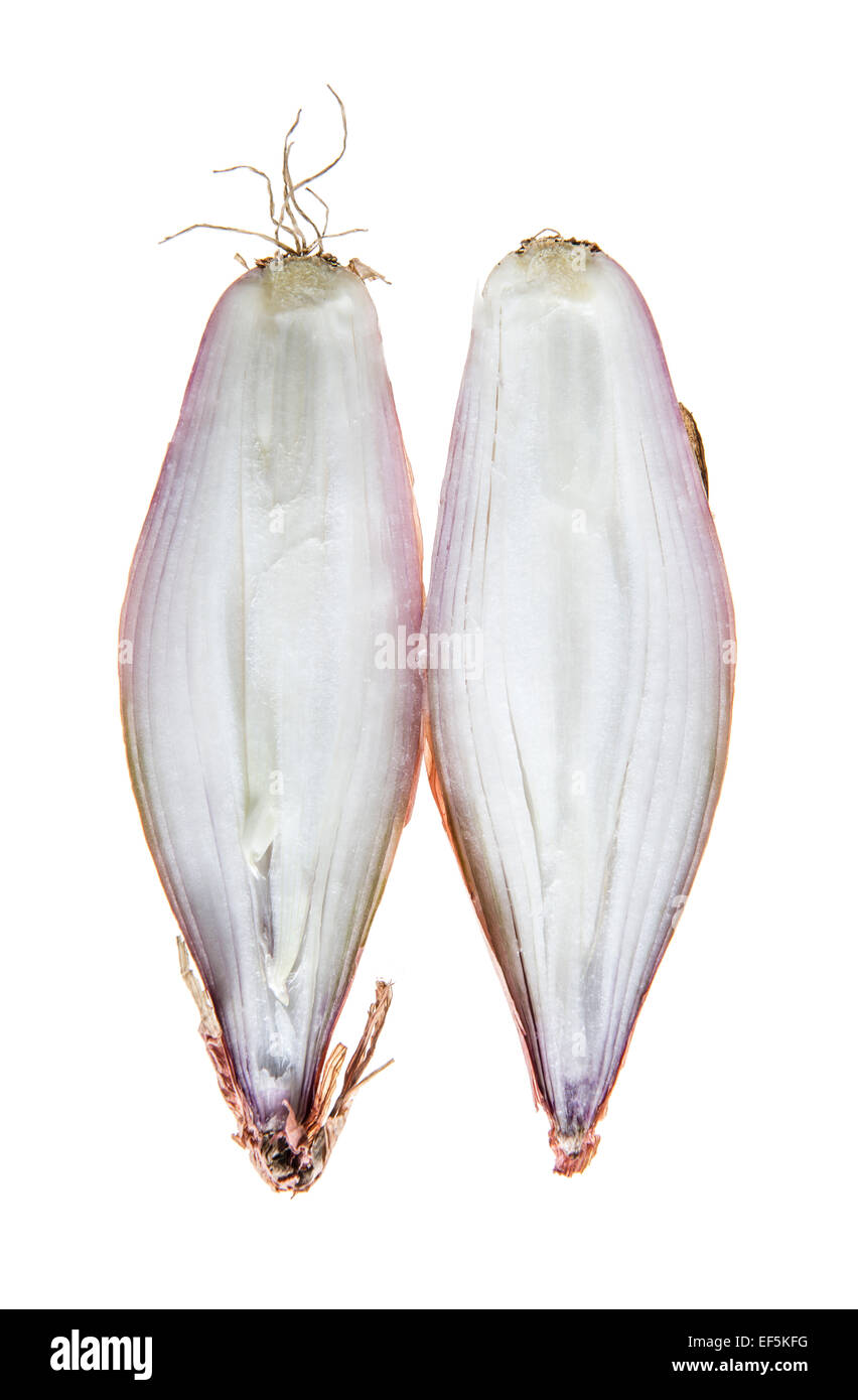 Two halves of fresh shallots Stock Photo Alamy