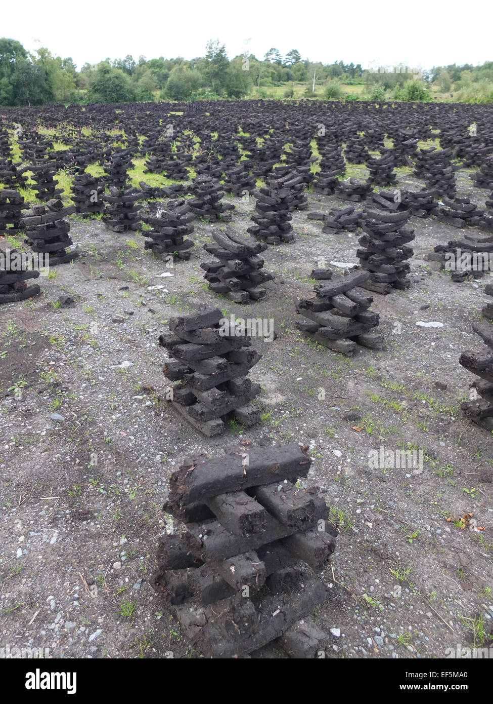 Peat bog ireland hires stock photography and images Alamy
