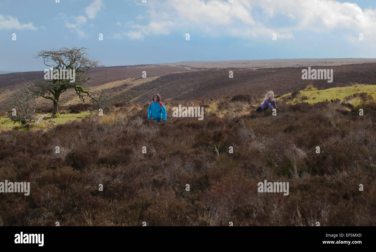 Country walks north Devon Stock Photo Alamy