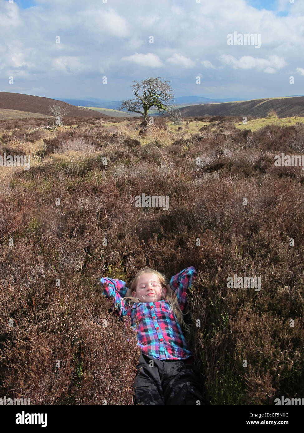 Country walks north Devon Stock Photo - Alamy