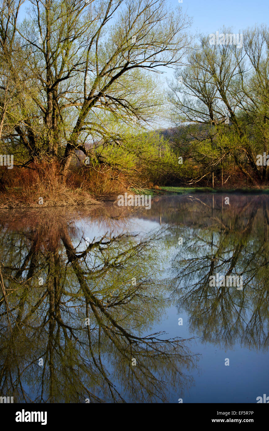 New York state forest river reflection landscape in Whitney Point, Broome County Southern Tier Region upstate New York, USA. Stock Photo