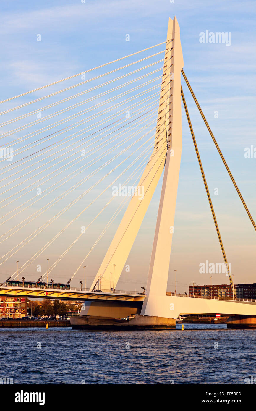 Erasmus Bridge in Rotterdam. Rotterdam, South Holland, Netherlands. Stock Photo