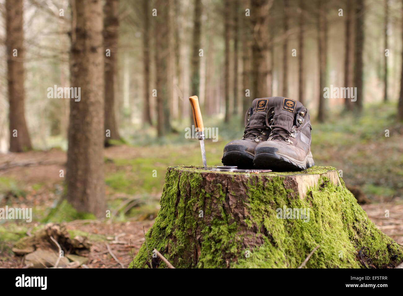 Walking boots knife and compass in woodland to convey outdoor adventure Stock Photo