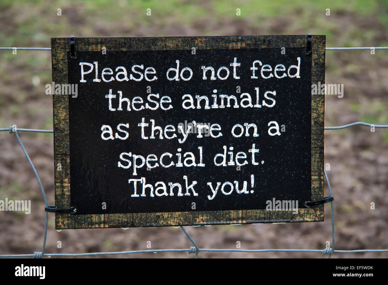 Sign requesting that animals not be fed Stock Photo Alamy