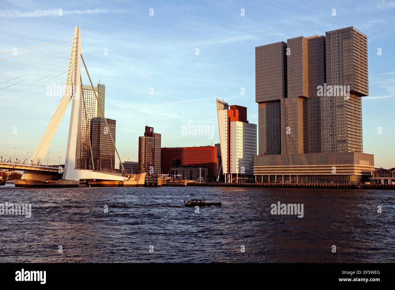 Rotterdam skyline with Erasmus Bridge. Rotterdam, South Holland, Netherlands. Stock Photo