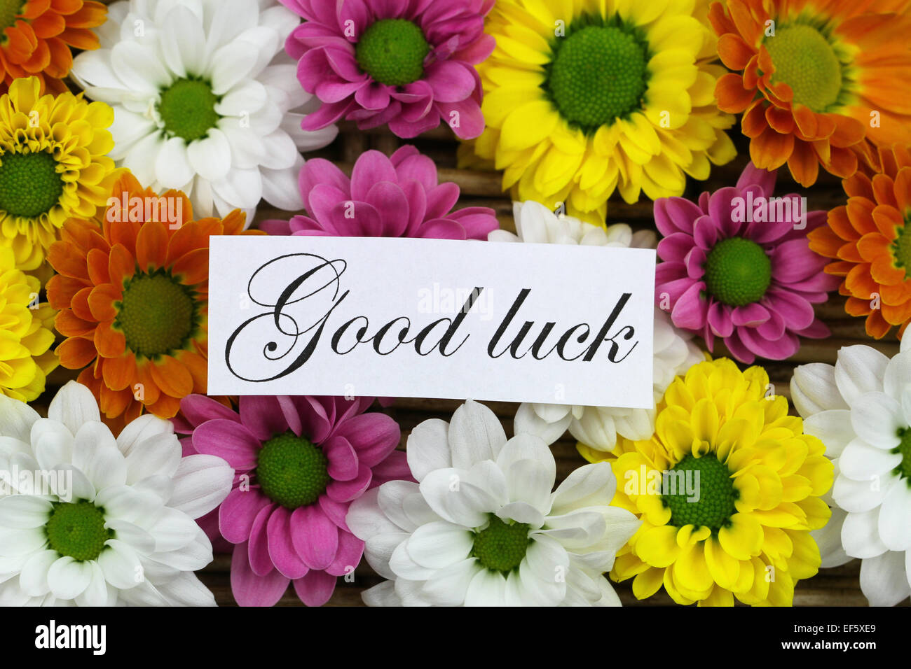 Paper good luck card flowers colors good luck blessings to you irish